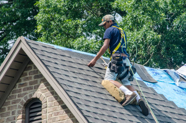 Roof Repair Estimates in Otsego, MN
